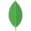 MongoDB icon